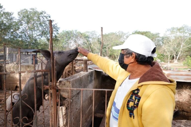 Círculo 47, el programa que impulsa el desarrollo integral de productores en comisarías de Mérida