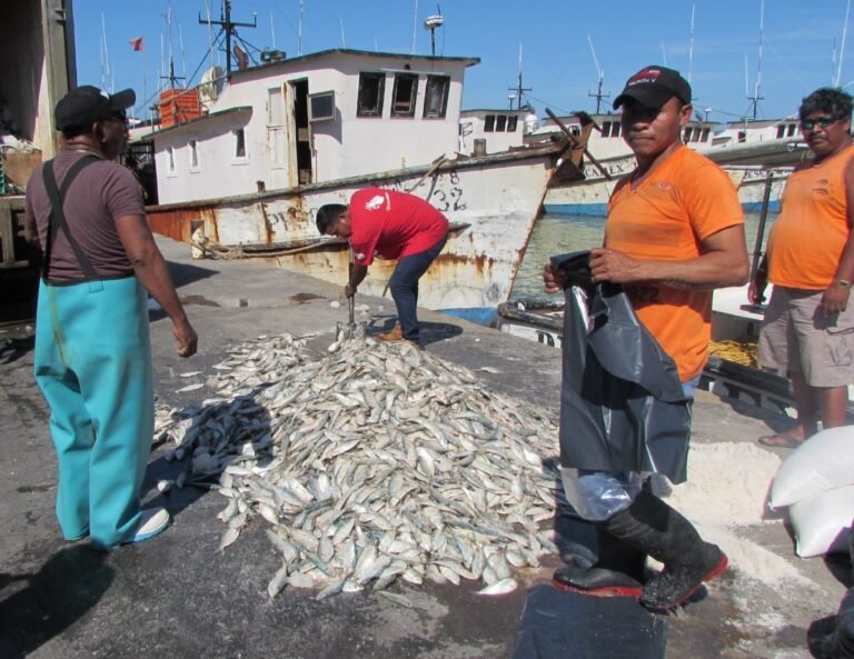 Lío en la pesca
