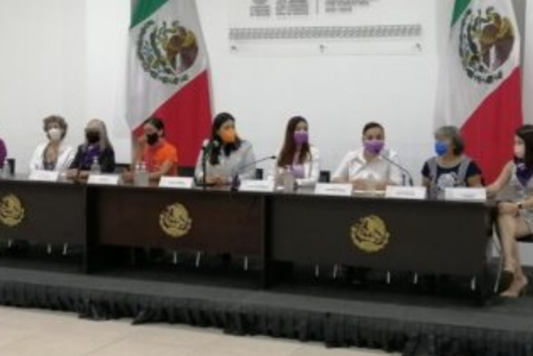 Mujeres presentan iniciativa para combatir la violencia vicaria en Yucatán