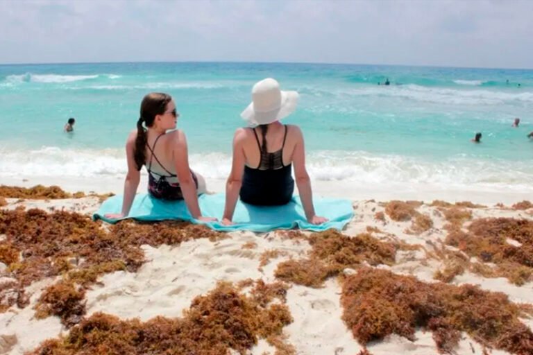 Playas de Cancún reportan recale de sargazo “muy bajo” y “moderado”