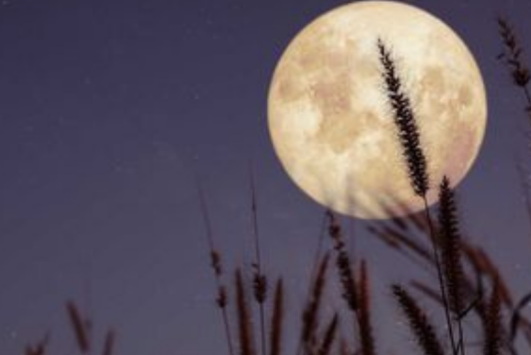 Luna de flores de mayo: Cuándo será el fenómeno astronómico