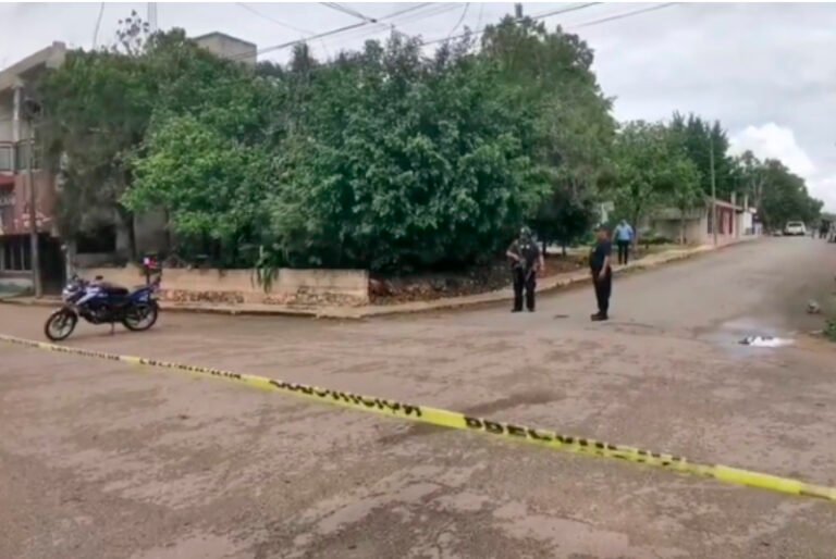 Matan a joven en José María Morelos, se trata del sobrino de la expresidenta Sofía Alcocer