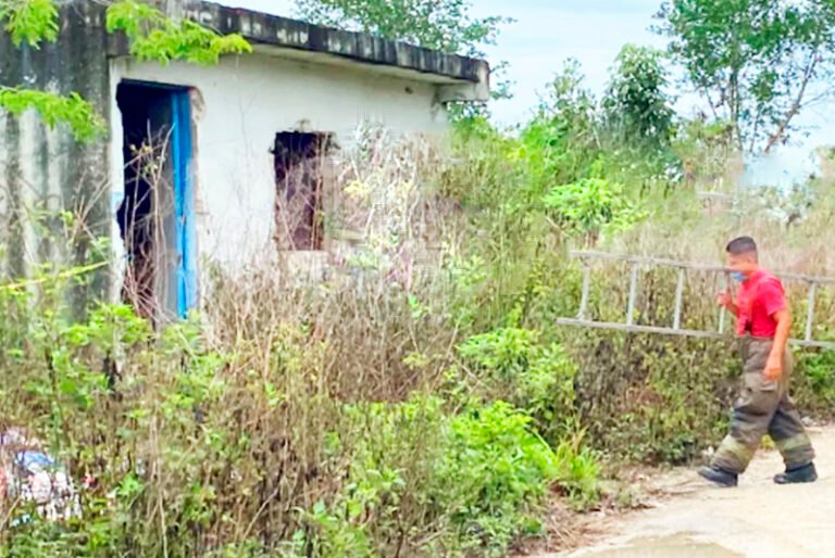 Hallan a persona sin vida en cenote de la colonia “La Amistad” en Cancún