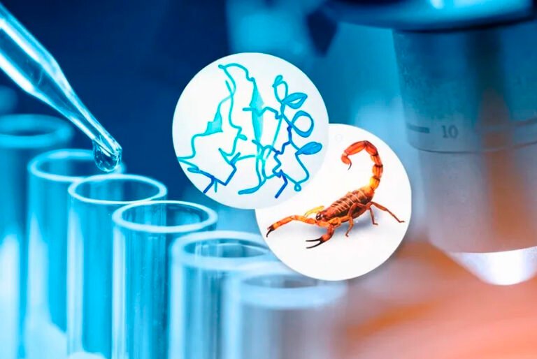 Investigan alternativa para tratar cáncer con veneno de escorpión azul