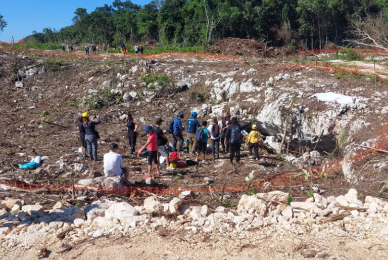Realizan “Caravana por el Agua y la Selva” para conocer las afectaciones en el tramo 5 del Tren Maya
