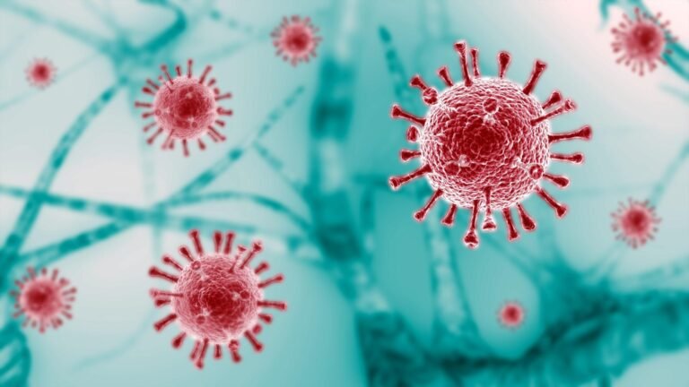 Sugieren mantener las medidas sanitarias que se aplicaron en la pandemia