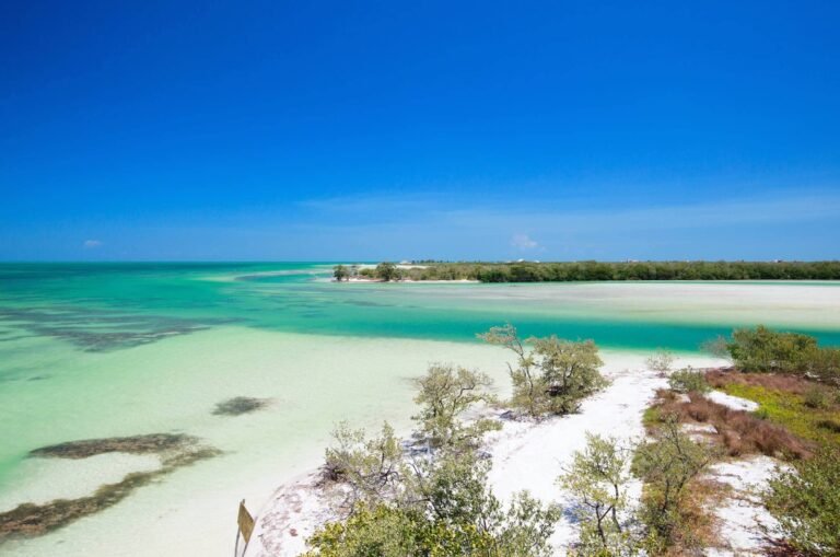 Semarnat, obligada a revelar información sobre concesión de una playa en Quintana Roo
